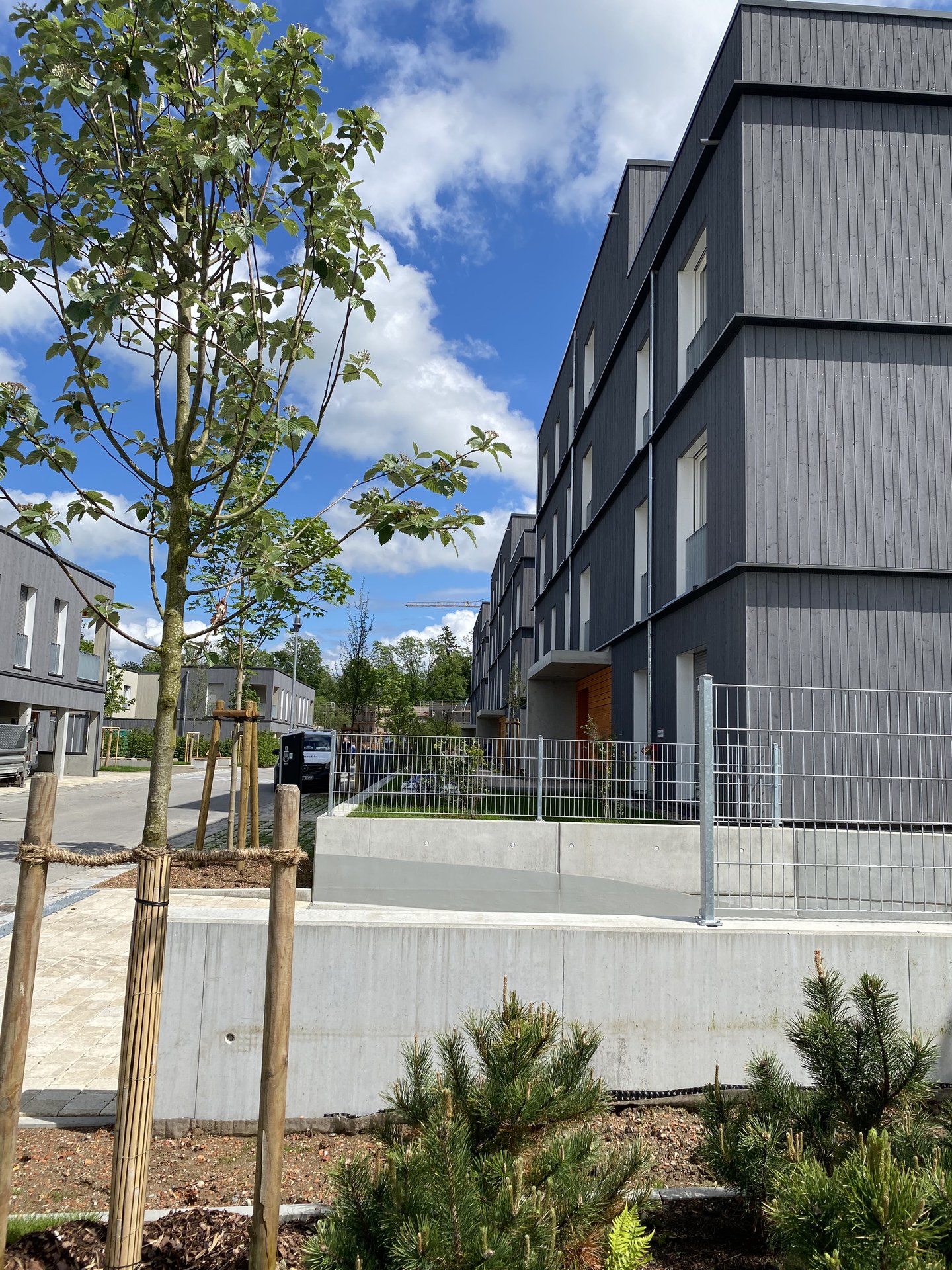 Wohnpark Auwiesen I – Reihenhäuser Wangen – Projektansicht 4