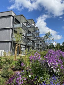 Wohnpark Auwiesen II – Mehrfamilienhäuser in Wangen