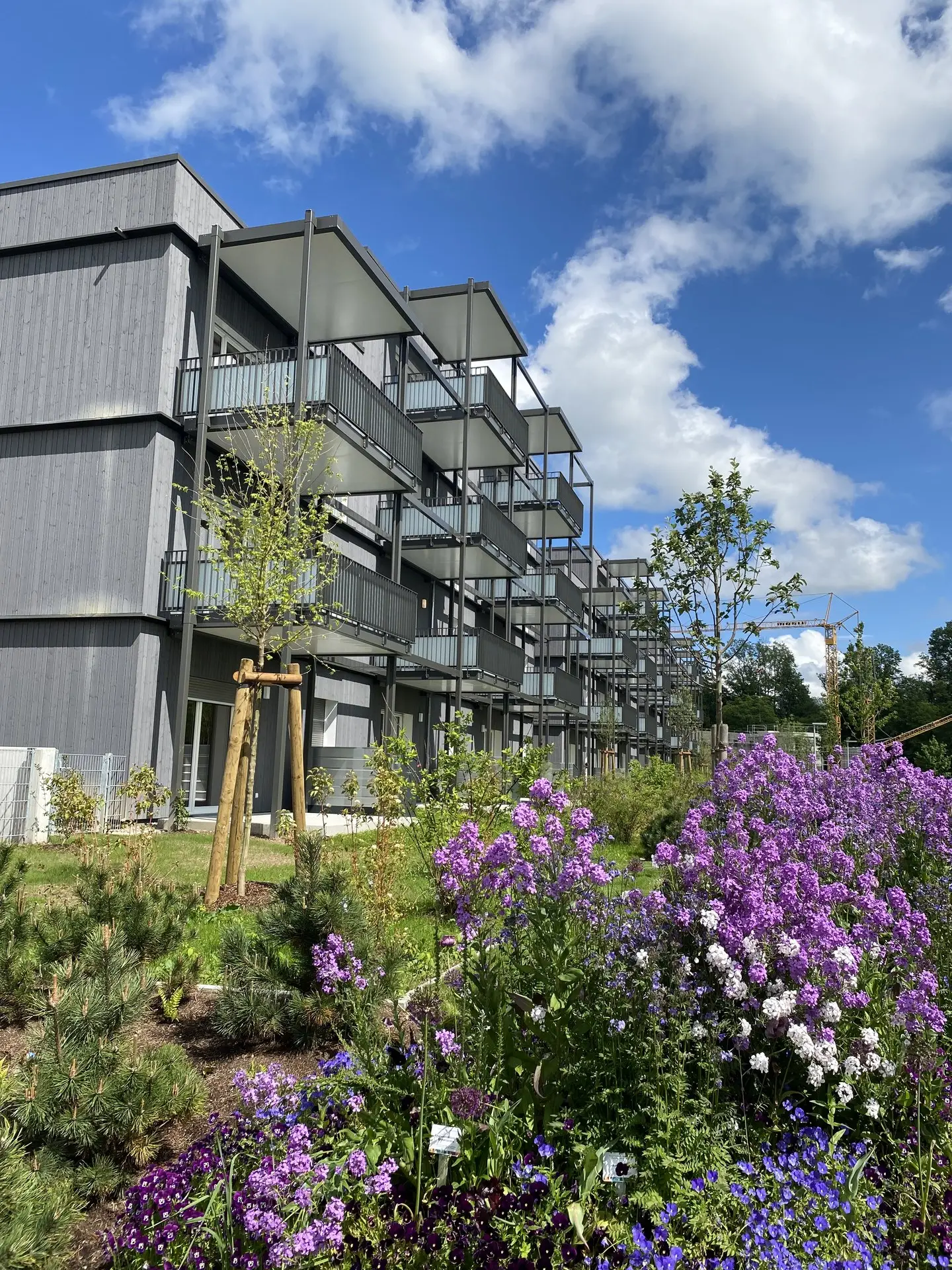 Wohnpark Auwiesen II – Mehrfamilienhäuser Wangen