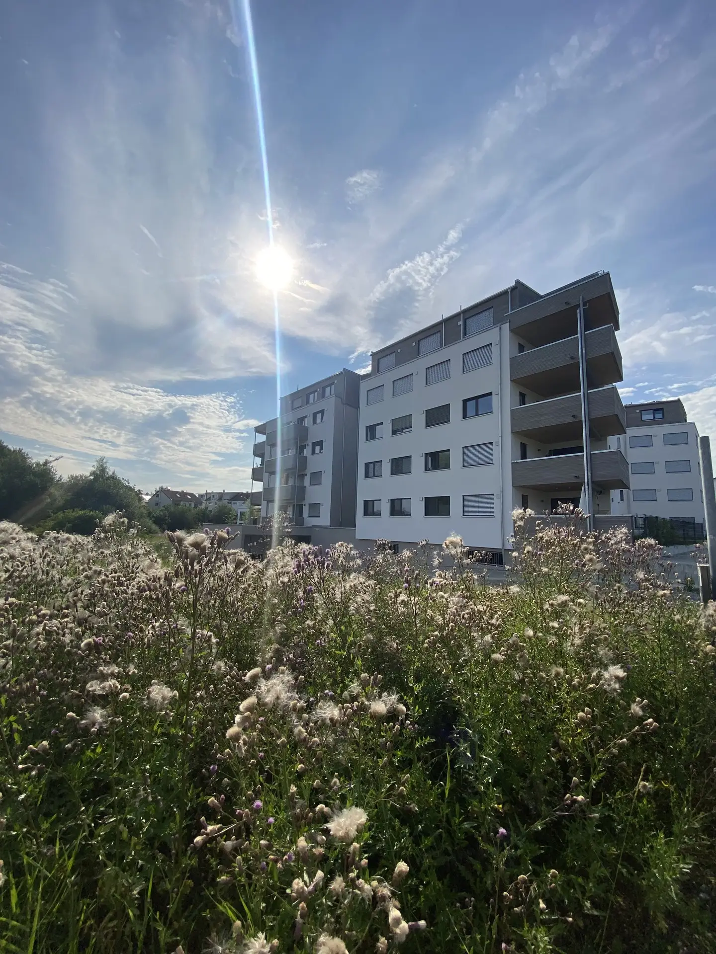 Wohnpark Pfändle Bad Waldsee – Projektansicht 4